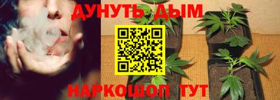 молекула духа Пугачёв